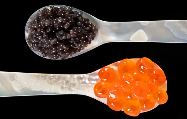 Food, spoon, caviar, caviar