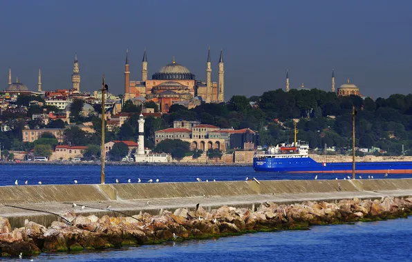Picture sea, birds, Strait, ship, mosque, Istanbul, Turkey, the minaret