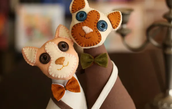 Cats, cats, toys, a couple, Duo, seals, faces, needlework