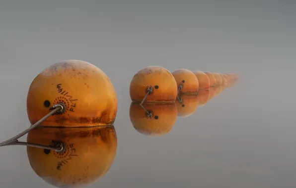 Picture lake, background, buoys