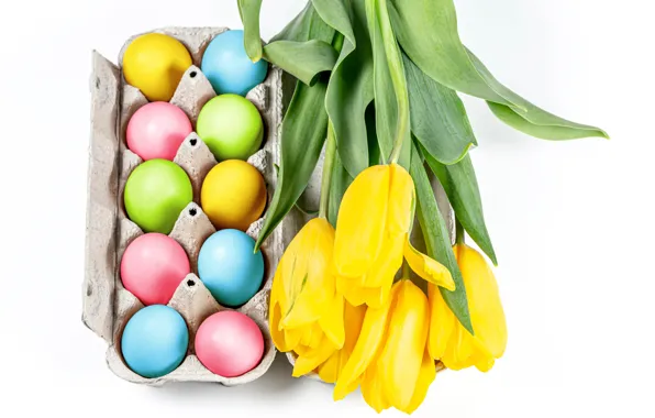 Flowers, eggs, Easter, tulips, white background, eggs, yellow tulips