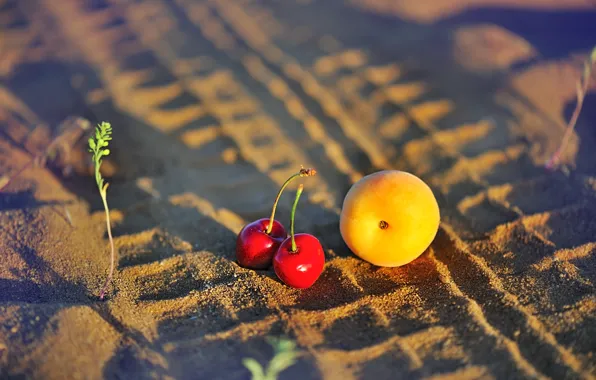 Road, cherry, peach