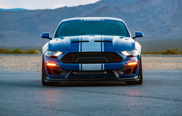 Picture Shelby, front view, 2018, Wide Body, Super Snake