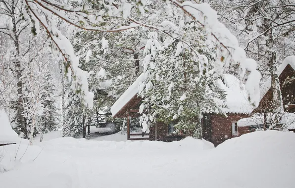Snow, Winter, tale, house, journey, Belokurikha, sinayskaya, donggala