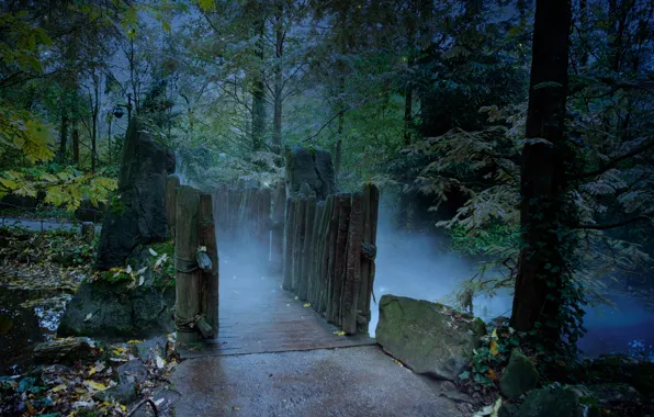 Autumn, forest, night, fog, forest, the bridge, bridge, night