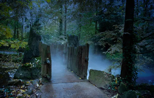 Picture autumn, forest, night, fog, forest, the bridge, bridge, night