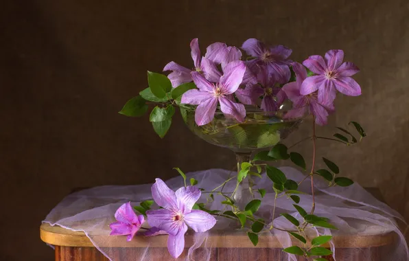 Lilac, clematis, clematis