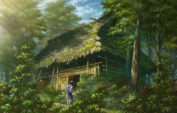 Picture forest, girl, hut