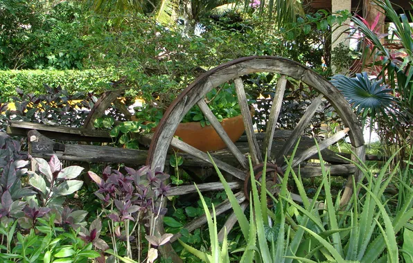 Summer, landscape, garden, cart, decor, design