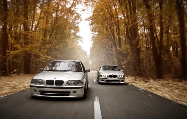 Picture road, autumn, forest, lights, speed, BMW, E46, E39