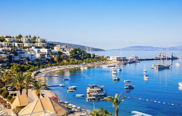 Picture sea, beach, palm trees, home, yacht, Turkey, Bodrum