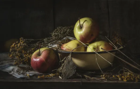 Branches, the dark background, apples, Board, pear, still life, tansy, basin