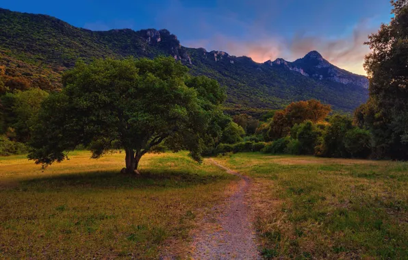 Picture grass, trees, mountains, stones, glade, slope, Italy, path