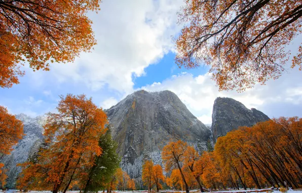Picture autumn, the sky, leaves, clouds, snow, trees, mountains, CA