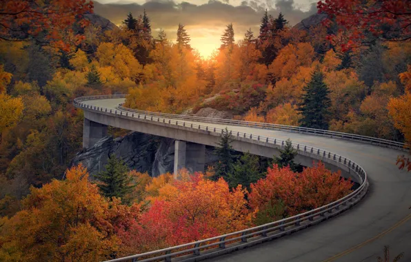 Picture road, autumn, forest, bridge