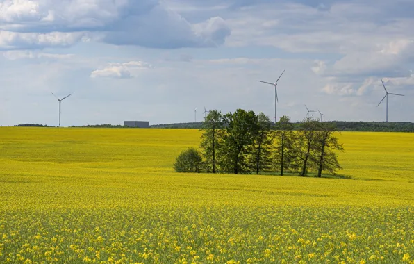 Field, trees, spring, windmills, rape, rapeseed field