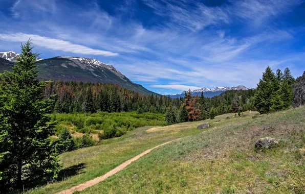 Greens, forest, the sky, grass, the sun, clouds, trees, mountains
