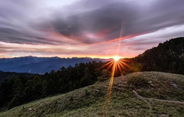 Picture forest, summer, the sky, the sun, clouds, rays, light, sunset