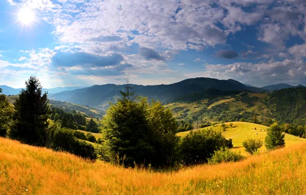 Picture the sky, grass, the sun, clouds, trees, mountains, field, beauty