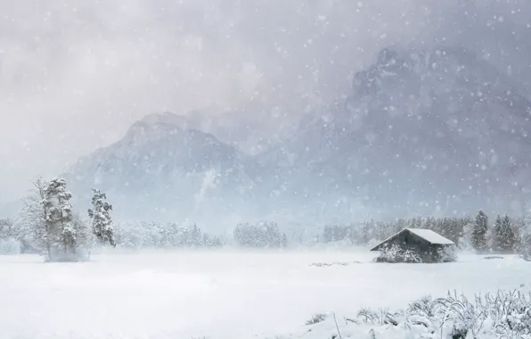 Winter, forest, snow, mountains, white, ate, hut, Blizzard