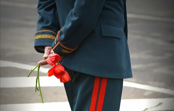Flowers, May 9, victory day, veteran