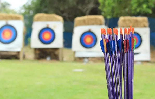 Picture arrows, training, archery, target shooting