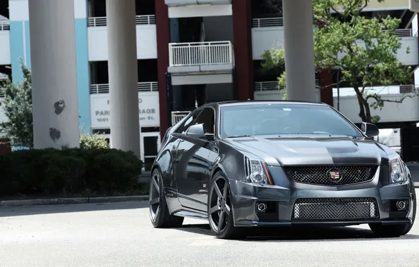 Picture Cadillac, cars, CTS-V, cars, auto wallpapers, car Wallpaper, Cadillac, auto photo