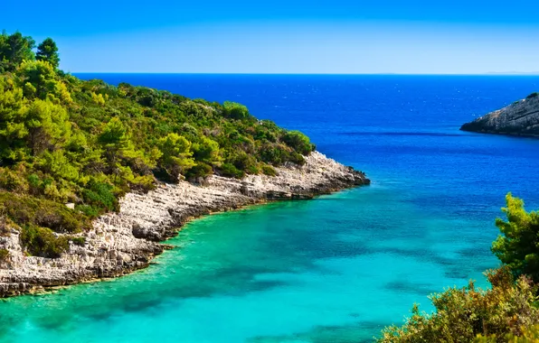 Picture sea, the sky, stones, coast, horizon, the bushes, Croatia