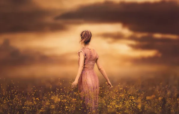 Picture the sky, girl, sunset, flowers, dress, meadow