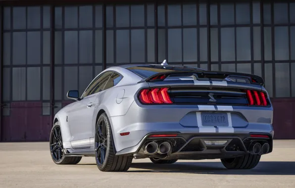 Mustang, Ford, Shelby, GT500, Ford, Mustang, Shelby, Rear view