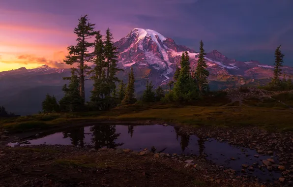 Forest, the sky, sunset, mountains, reflection, puddle, twilight, lake