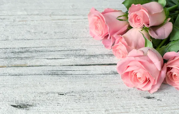 Flowers, roses, bouquet, pink, wood, pink, flowers, roses