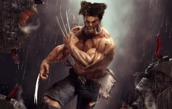 Wolverine, Logan, Artwork, Wide