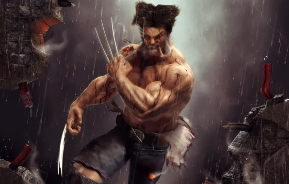 Picture Wolverine, Logan, Artwork, Wide