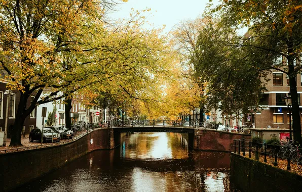 Bridge, The city, Autumn, River, Amsterdam, Netherlands, Amsterdam, Autumn