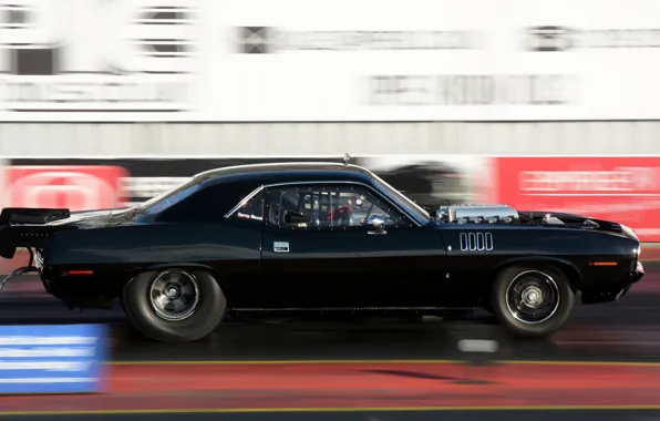 Picture speed, race, car, muscle car