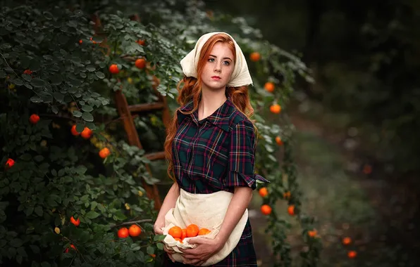 Girl, pose, model, apples, girl, solitaire, the harvest, model