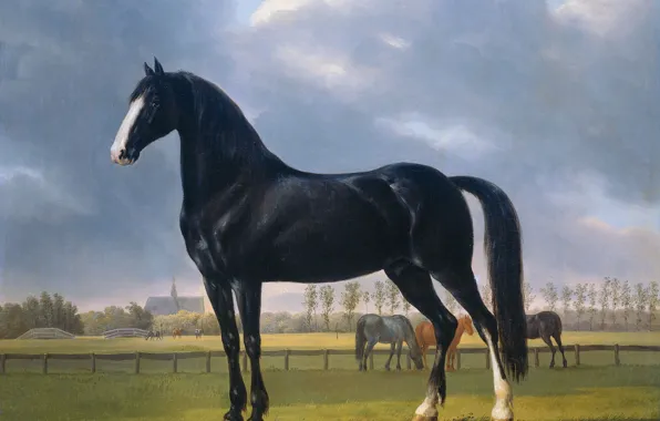 Animals, oil, picture, horse, canvas, Anthony Oberman, Fastest Trotter in the Meadow