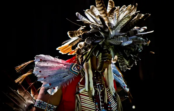 Picture feathers, male, Indian, Pow Wow