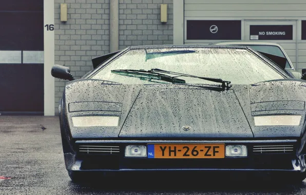 Drops, beauty, classic, Lamborghini Countach