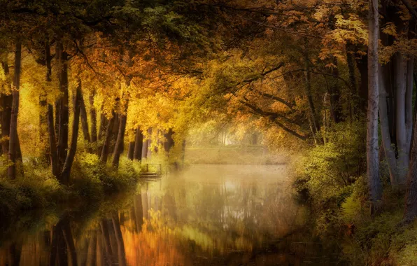 Picture autumn, forest, light, pond, Park, reflection, shore, foliage