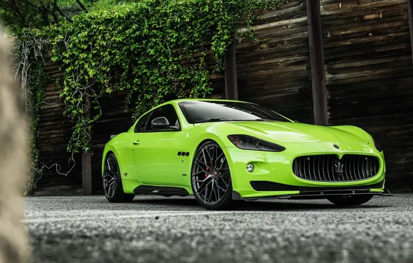 Picture Maserati, Quattroporte, Wall, Green, Beauty, Itallian