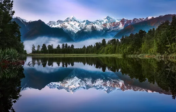 Forest, the sky, reflection, mountains, fog, lake, morning, New Zealand