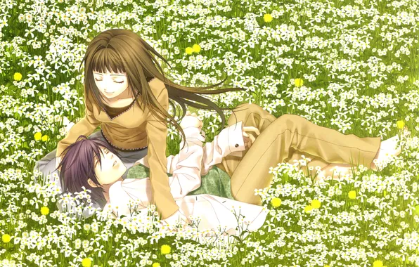 Picture field, girl, flowers, anime, art, guy, lying, hiiro no kakera