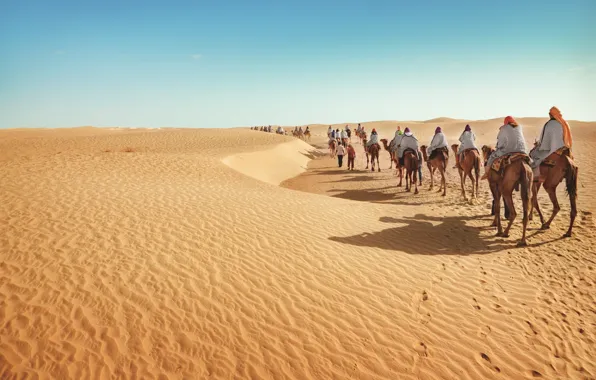 Picture desert, sand, tourism, camels, caravan