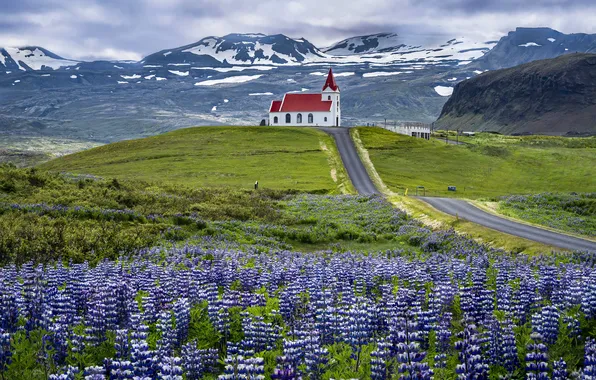 Road, field, clouds, snow, flowers, mountains, hill, Church