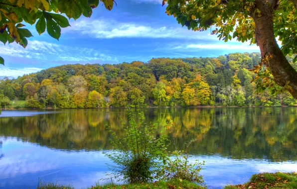 Autumn, forest, water, trees, reflection, river, shore, Germany