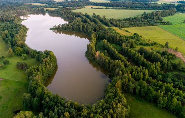 Forest, trees, lake, field, Estonia, the view from the top, Your Main Room