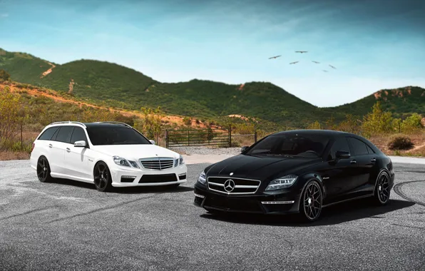 White, black, tuning, Mercedes, Mercedes-Benz AMG E63, AMG CLS63
