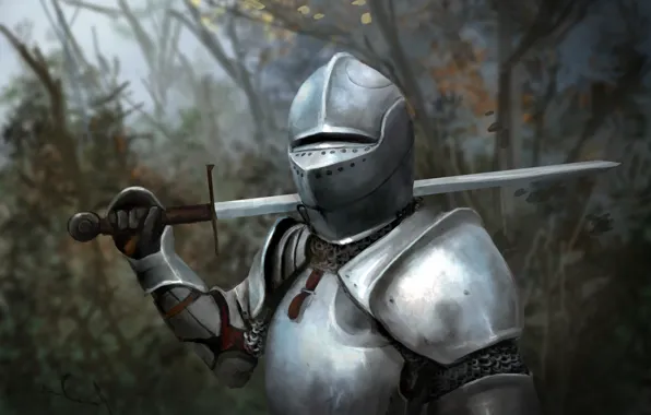 Picture forest, leaves, trees, metal, weapons, sword, armor, art, helmet, knight, blade